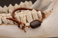 Copper and Stone Bracelet image 0