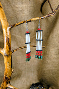 Dentalium Shell Earrings image 0